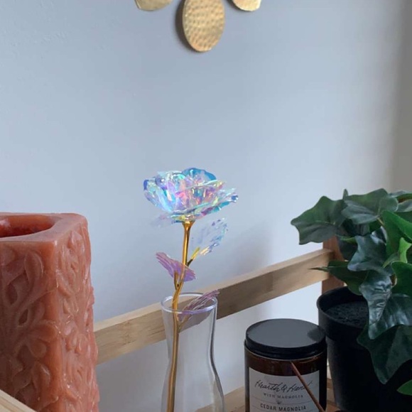 Meet your Posher, Nikki - Picture 1 of 1